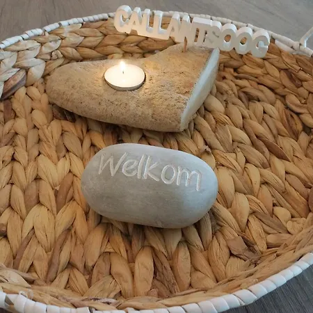 Lejlighed Wijde Blick 212 Callantsoog